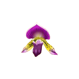 Purple Sparkle Orchid Feeder